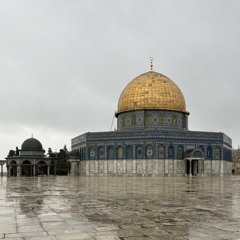 Taqaddam - Zalzil Zalzalah