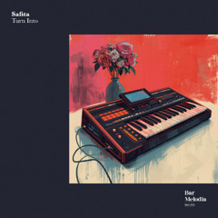 BM137 | Safita - Turn Into [Bar Melodia]