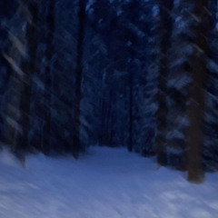 polar *2023