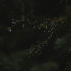 Hate Me (prod. Peril)