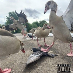 All In (Babythugbob x Baby G)