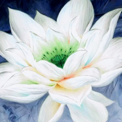 Shanti