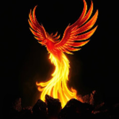 Lit Like a Torch (Explicit) - Bekefendi
