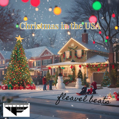 Christmas in the USA