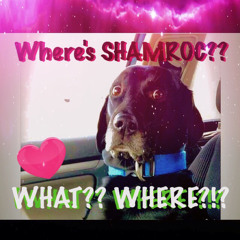 shamroc got me in the Holy Ghost 2020-03-18, 10.44.43 PM