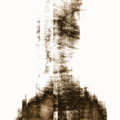 A Cat's View [disquiet0733]