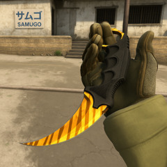 Karambit Tiger Tooth Freestyle (intro)