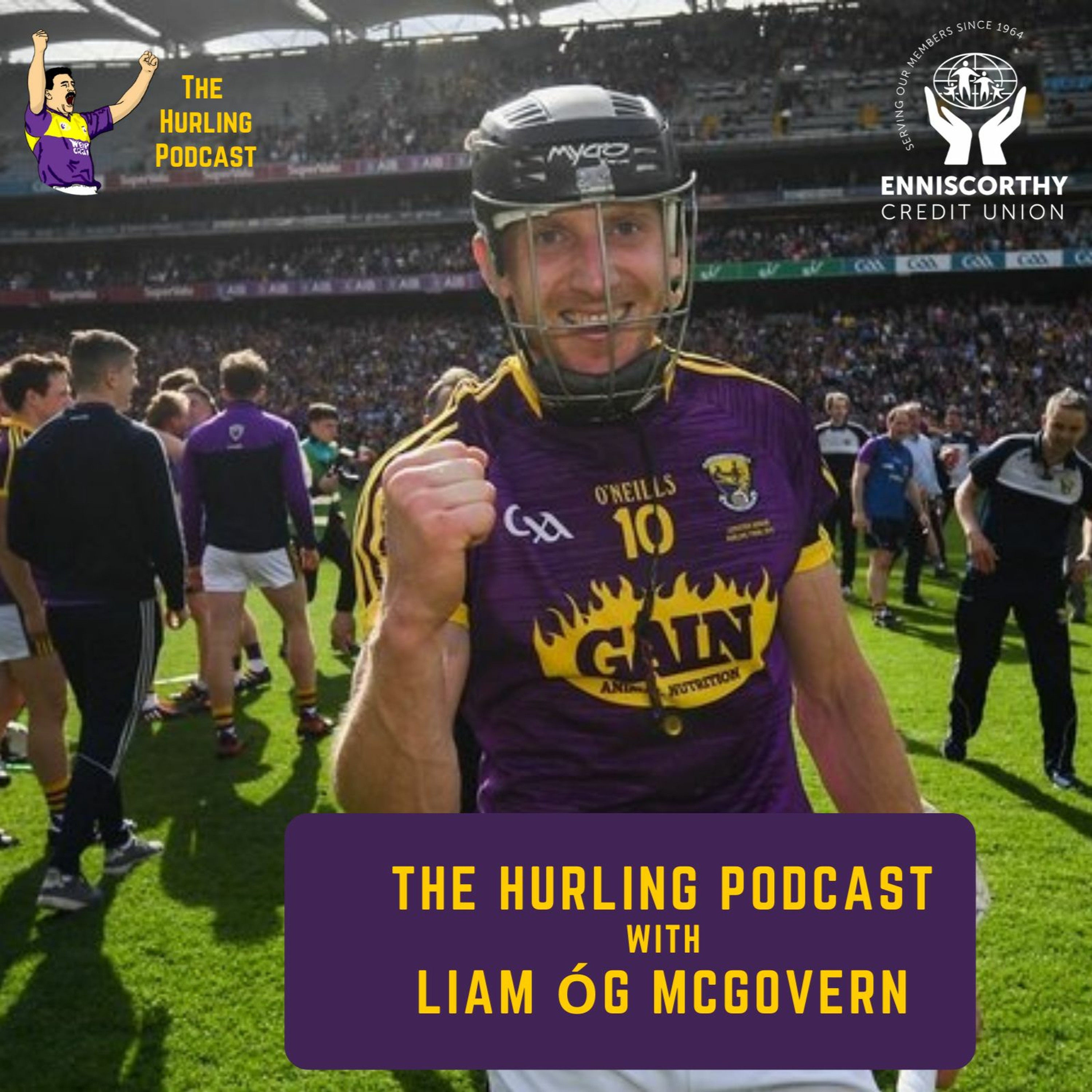 The Wexford Hurling Podcast