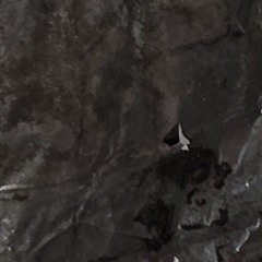 Embryo Assembly Line