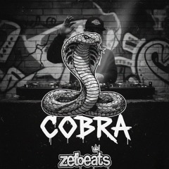 Boom Bap Beat "COBRA" | Type Beat 2025 |Oldschool Rap Instrumental
