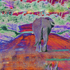 象歩 - zouho- ground