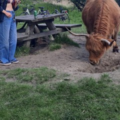 gas station ice cream