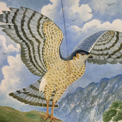 KASIN WÀN AMMI WE (KAPWONG SENI IIR)