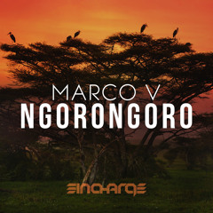 Ngorongoro (Original Mix)