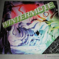 Wintermute-Hands  of fate