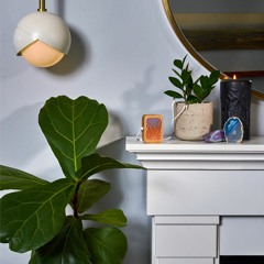 PlantWave - Emerald Journey