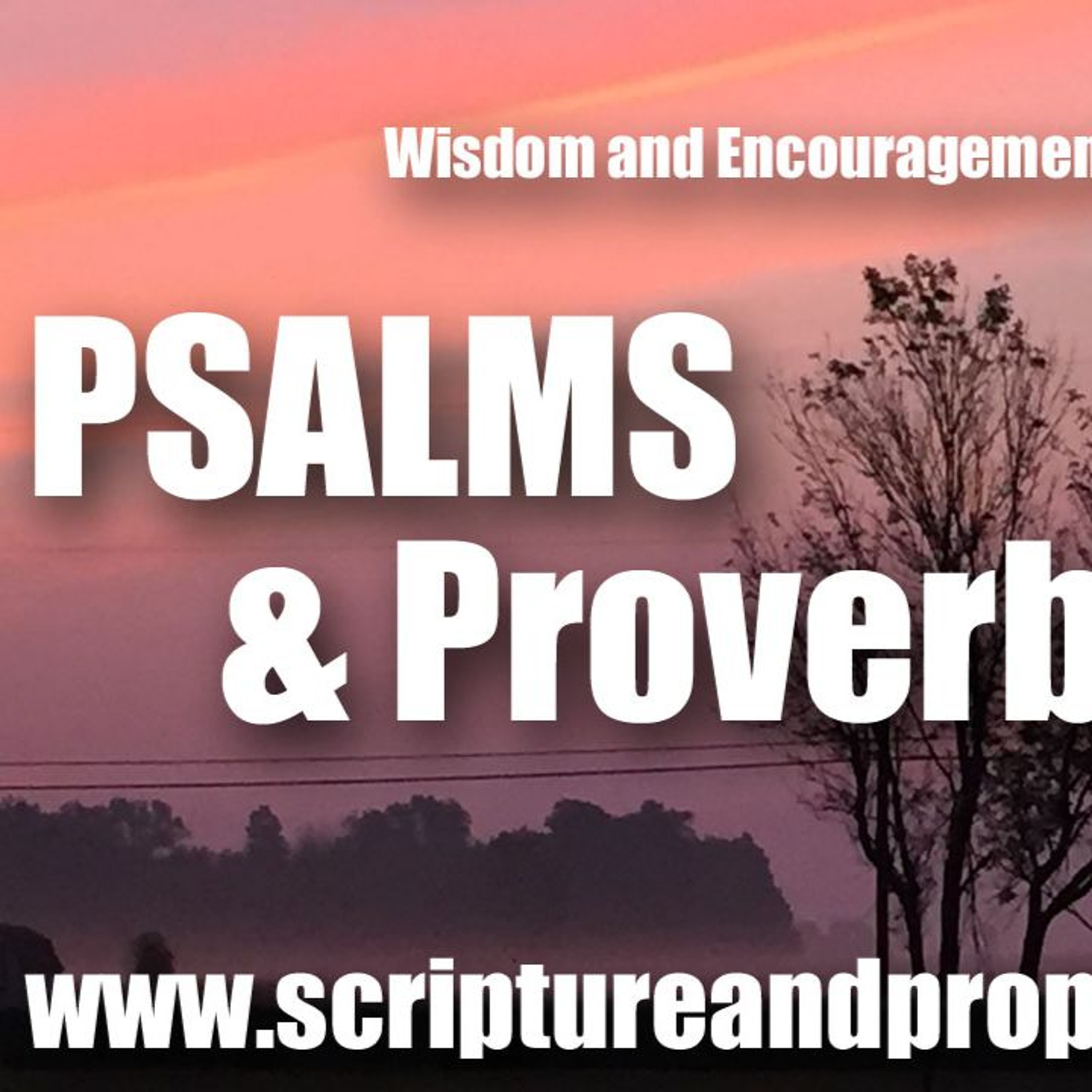 Scripture & Prophecy - Weekly Bible Studies