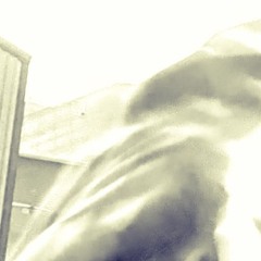 shadOw