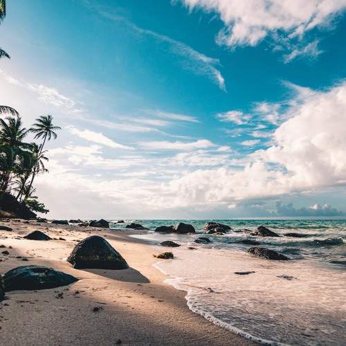 Resonating Waves - DJ Sampo