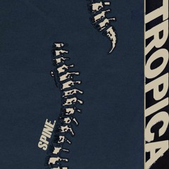 SPINE