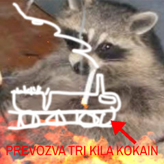 TOVAREN VLAK