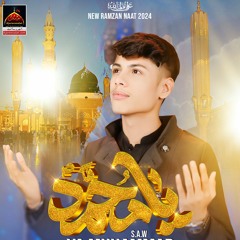 Muhammad Sada Aa Rahi Hai | Mirza Ali Hassan | New Naat | 2024