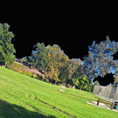 you're like vince mcmahon you're shitting on my head