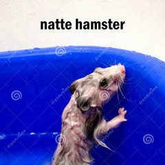 natte hamster