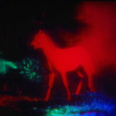 berlin horse w/ suty (prod. maahir)