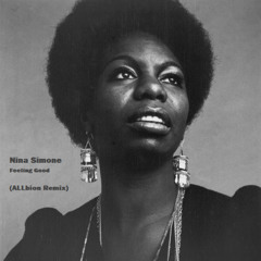 Nina Simone - Feeling Good (ALLbion Remix)