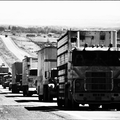 Convoy to the bunker // by dr eggnog b2b carpinga