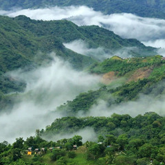 Misty Mountaiin