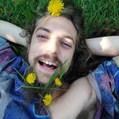 Sweet song Melichill