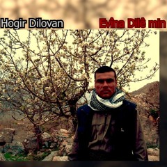 Evîna Dilê Min Hogir Dilovan
