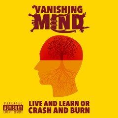 LIVE AND LEARN OR CRASH AND BURN