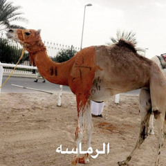 ‎⁨الرماسه | مسفر السندوانه|⁩