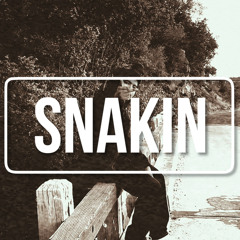 Snakin ( Prod. By LBL )