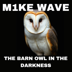 The Barn Owl In The Darkness