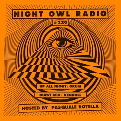 Night Owl Radio 239 ft. Grum and Kendoll