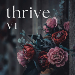 Thrive V1 // Live DJ Set