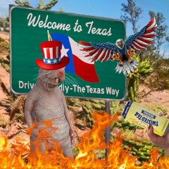 molrat in texas