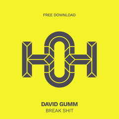 HLS363 David Gumm - Break Shit (Original Mix)