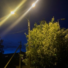любоф