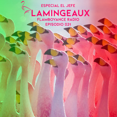 Flamboyance Radio Ep021