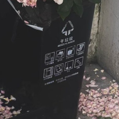 ⯨ ᭞   ᭞  ᭞ ᭞᭟⯩