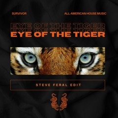 Eye Of The Tiger (STEVE FERAL Edit)- Survivor FREE DOWNLOAD