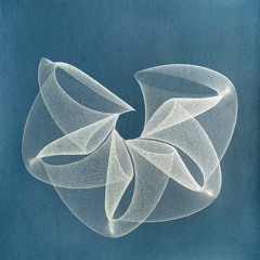 John Hayes & Maxy Dutcher - Veiled