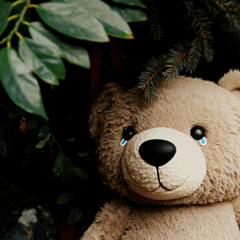 Maybe We Should Let It Fall - Gert Holle - 12.01.2026