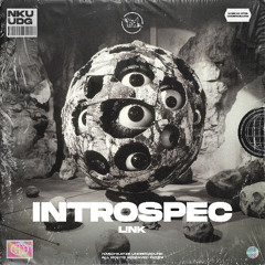L!NK - Introspec