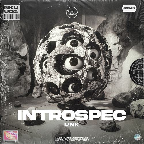 L!NK - Introspec